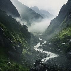 Mountain creek flows from forest hills. Scenery with rocks in clearance of mysterious fog.  Nature in early morning.