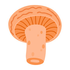 Saffron milk cap. Edible forest mushroom flat icon. Hand Drawn delicious milk cap. Fungus Group Engraved. Red pine mushroom Isolated on white background. Vector illustration