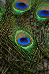 Fototapeta premium Peacock feathers on vintage stone background