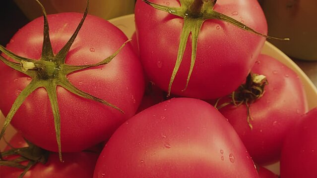 Slow motion close up of fresh whole tomatoes. Solanum lycopersicum species. Macro. High quality 4k footage