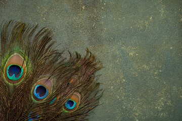 Peacock feathers on vintage stone background