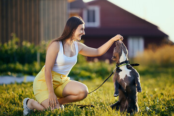 American Bully training in backyard of country house on summer evening, young Caucasian woman plays...