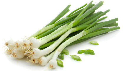 Fresh green onion on white background