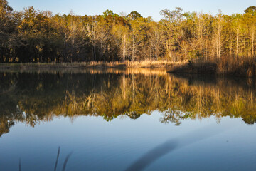 autumn trees reflected in water