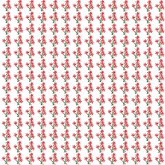 Pattern flower and cactus pattern