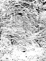 Rustic Wood Detail black and white abstract