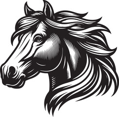 horse illustration