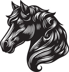 horse illustration