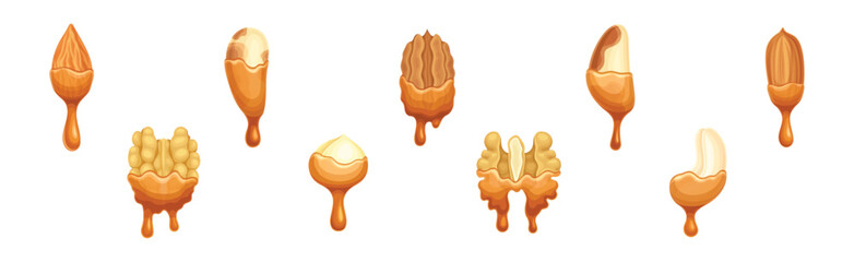 Nut Edible Seed with Dripping Chocolate or Caramel Melting Liquid Vector Set