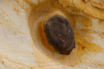 An Igneous Rock Embedded in sandstone on a beach cliff hill after being eroded