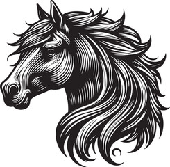 horse illustration