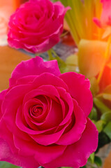 Pink roses natural floral background close up vertical photo. Fresh flowers in bouquet buds top view. Bright colors. Florist shop.