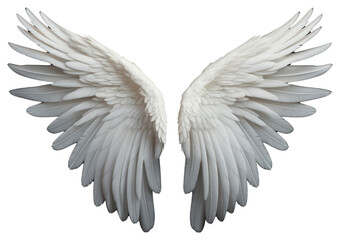 PNG White angel wing bird black background feather. - Powered by Adobe
