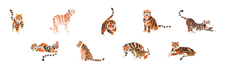 Tiger Predator Jungle Animal with Striped Coat Vector Set