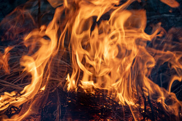 Fire flames on a black background. Blaze fire flame texture background. Close up of fire flames isolated on black background. Burn. Abstract fire flames background. Texture