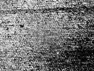 black and white Texture of a Red and Cream Striped Rug