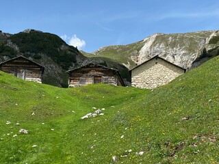 Trentino Alto Adige - Malga Rossalm - 787460450
