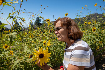 A Woman on an Outdoor Trail exploring a Sunflower Field on a Sunny Day