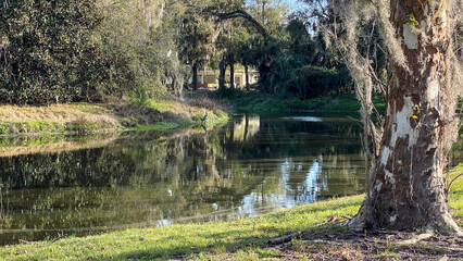 Amelia Island Foliage and Ponds