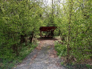 At the end of the forest path there is a wooden gazebo with a table for spending time in nature and relaxing in a large company. The rest area in the forest is equipped with a barbecue and under cover