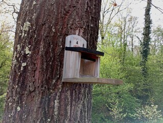 A wooden feeder hangs on a tree for feeding birds in the winter season. A wooden feeder hangs on a tree trunk.