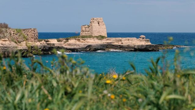 Roca - Salento - Torre con vegetazione al vento in primo piano