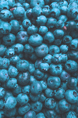 Fresh blueberry background. Texture blueberry berries close up.