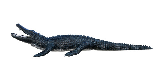 A blue and gray alligator on isolated transparent background, seen from the side with his mouth open. 3D illustration. 