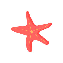 vector illustration of a starfish.