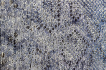 Texture of reptile pattern on genuine leather close-up, surface of grey color, trendy background, manufacturing concept