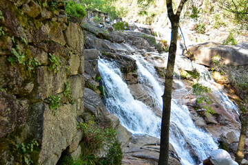 A picturesque waterfall cascades down a rocky slope, creating multiple small waterfalls. Moss-covered stones and lush greenery surround the area, with a tree trunk in the foreground.