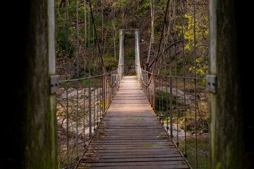 A narrow suspension bridge made of wooden planks and metal cables, crossing a small stream in a forested area. The bridge's perspective leads into dense greenery, evoking adventure and exploration.