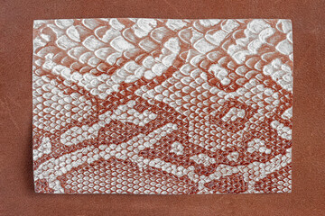 Texture of genuine exotic reptile leather close-up in frame, trendy pattern, modern background