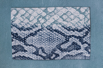 Blue and white snake skin, patterned background, reptile surface in frame
