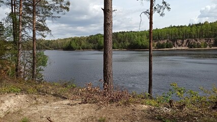 jezioro w lesie