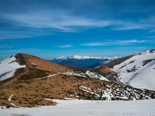 mountains in spring. Carpathians Ukraine
