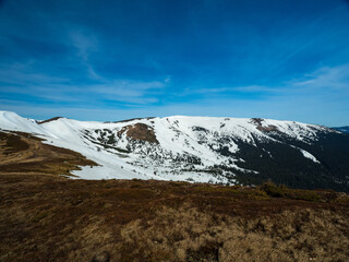 mountains in spring. Carpathians Ukraine
