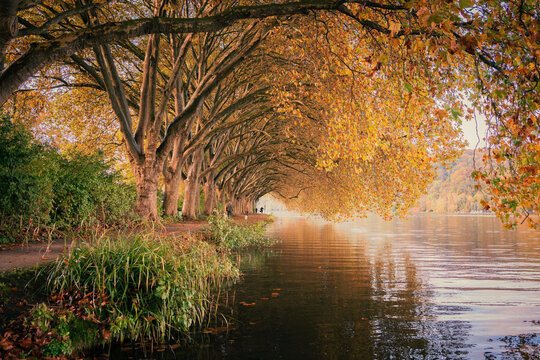 Baldeneysee, Essen Herbst