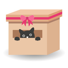 Cat in a gift box with a pink ribbon on a white background with shadow.