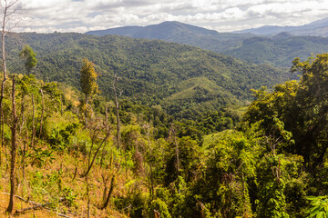 Landscape of Nam Ha National Protected Area, Laos