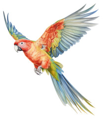 Fototapeta premium PNG Parot flying drawing parrot animal.