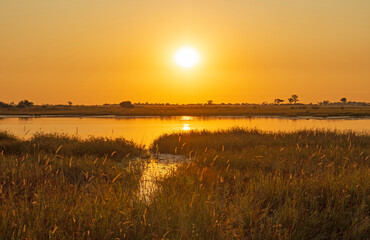 Sunrise on the Okavango Delta