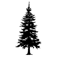 Pine Tree Silhouette Vector Clipart.