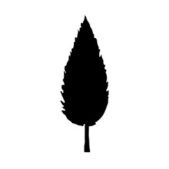 Pine Tree Silhouette Vector Clipart.