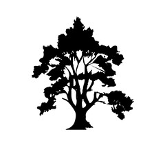 Tree Silhouette Vector Clipart.