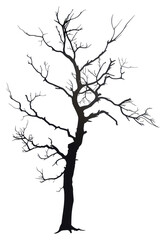 PNG Dead tree silhouette clip art drawing sketch plant.