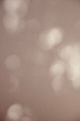 Abstract background shadows nature on beige white wall.
