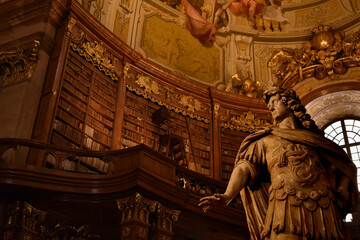 Statua con nello sfondo una libreria - Sala di Stato Vienna