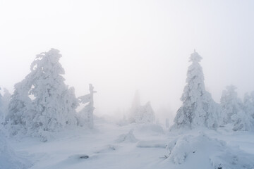 Nebel und Winterlandschaft auf dem Brocken