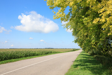 road blue sky and green field